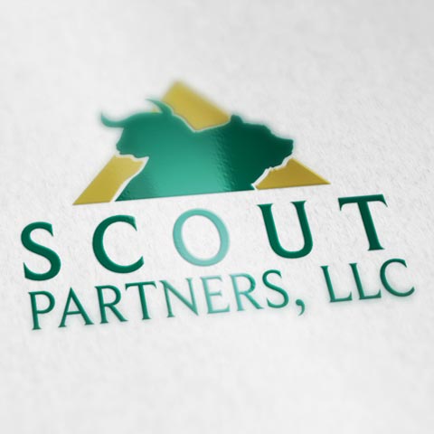 Scout Partners